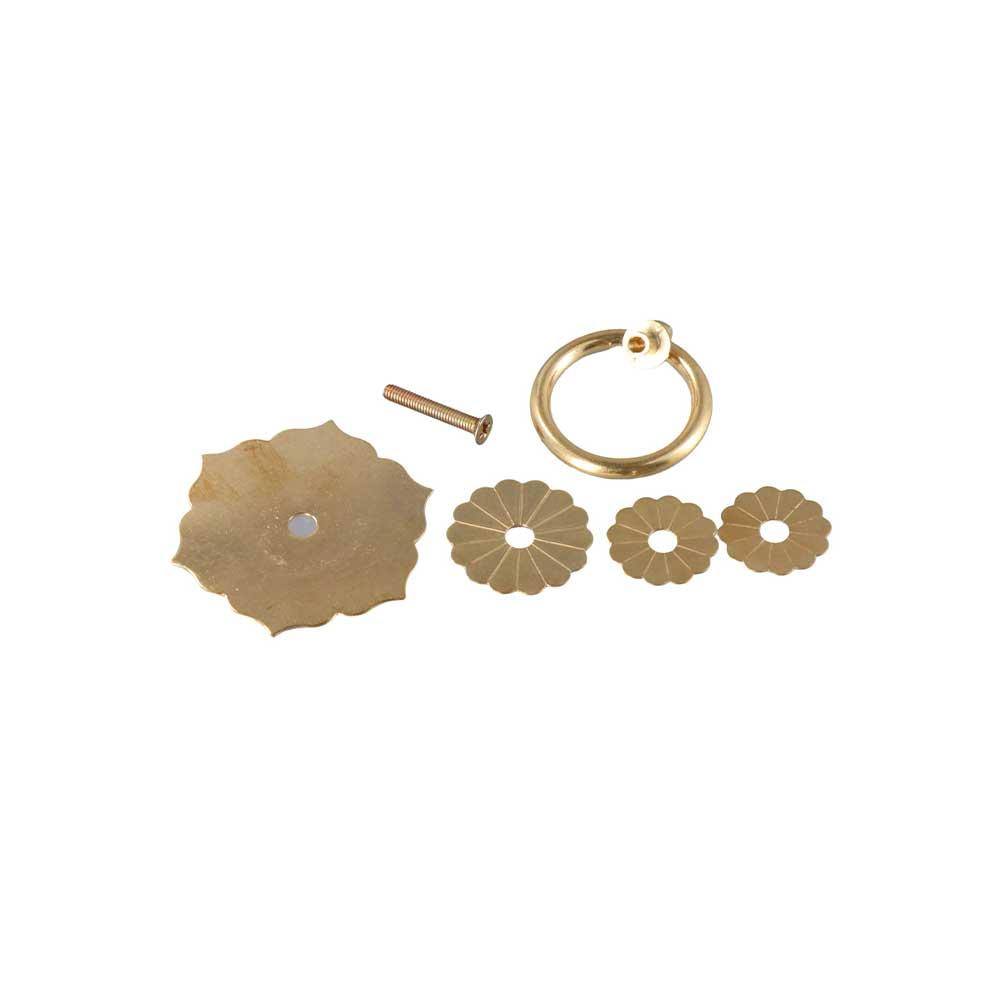 Maniglie e pomelli per mobili: - Furniture Hardware With Backplate recensione e prezzo