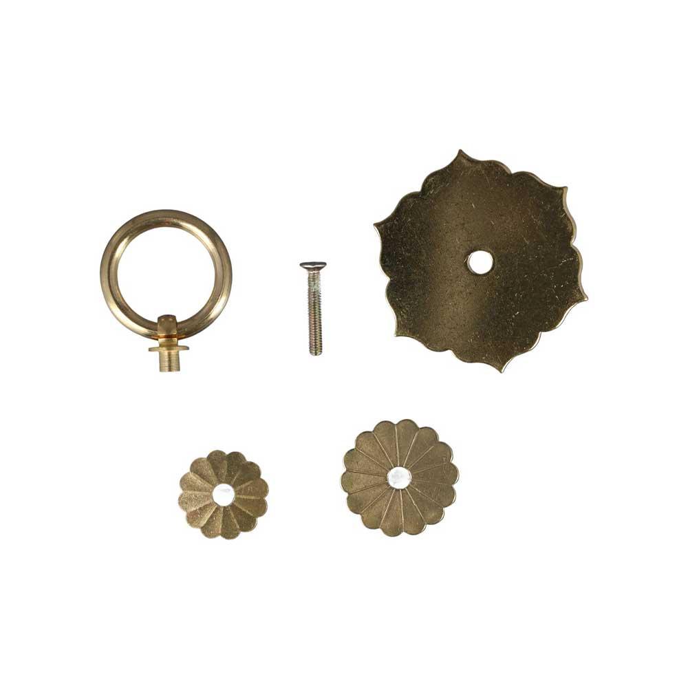 Maniglie e pomelli per mobili: - Furniture Hardware With Backplate recensione e prezzo